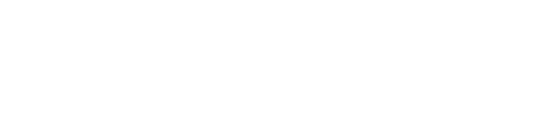 shonDy Logo