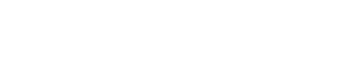 shonDynamics